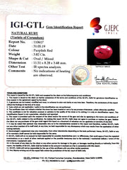 3.82/CT Natural Mozambique Ruby with Govt. Lab Certificate-(RUBY9W)